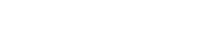 traffisec